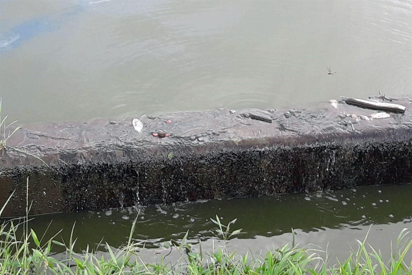 Crédito: Divulgação/ PMFS