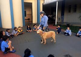 educar
