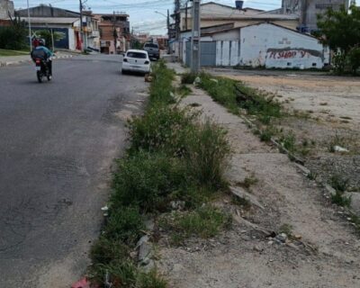 WhatsApp Image 2026-04-27 at 13.00.48